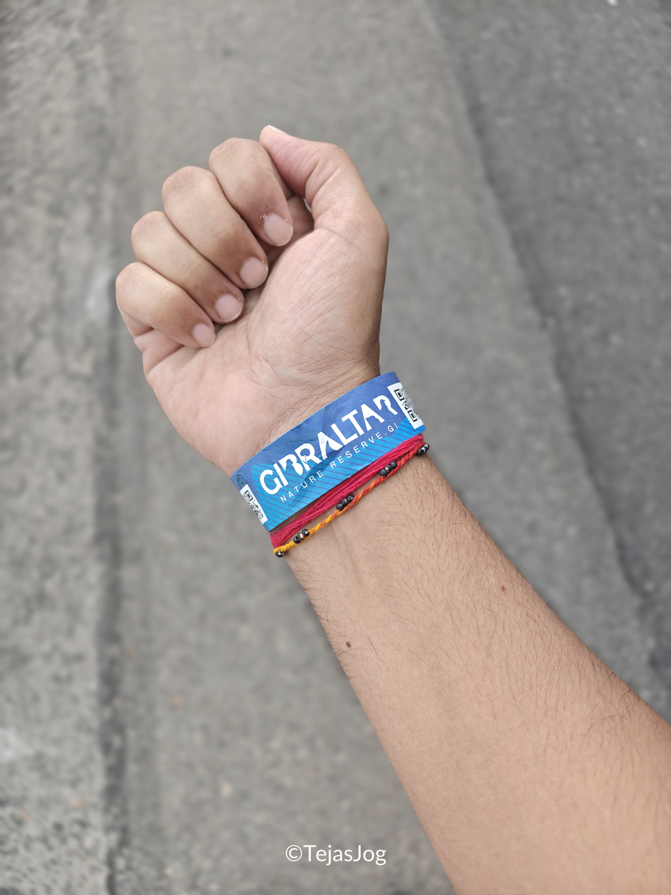 Ticket for Gibraltar Nature Reserve Ticket for Gibraltar Nature Reserve