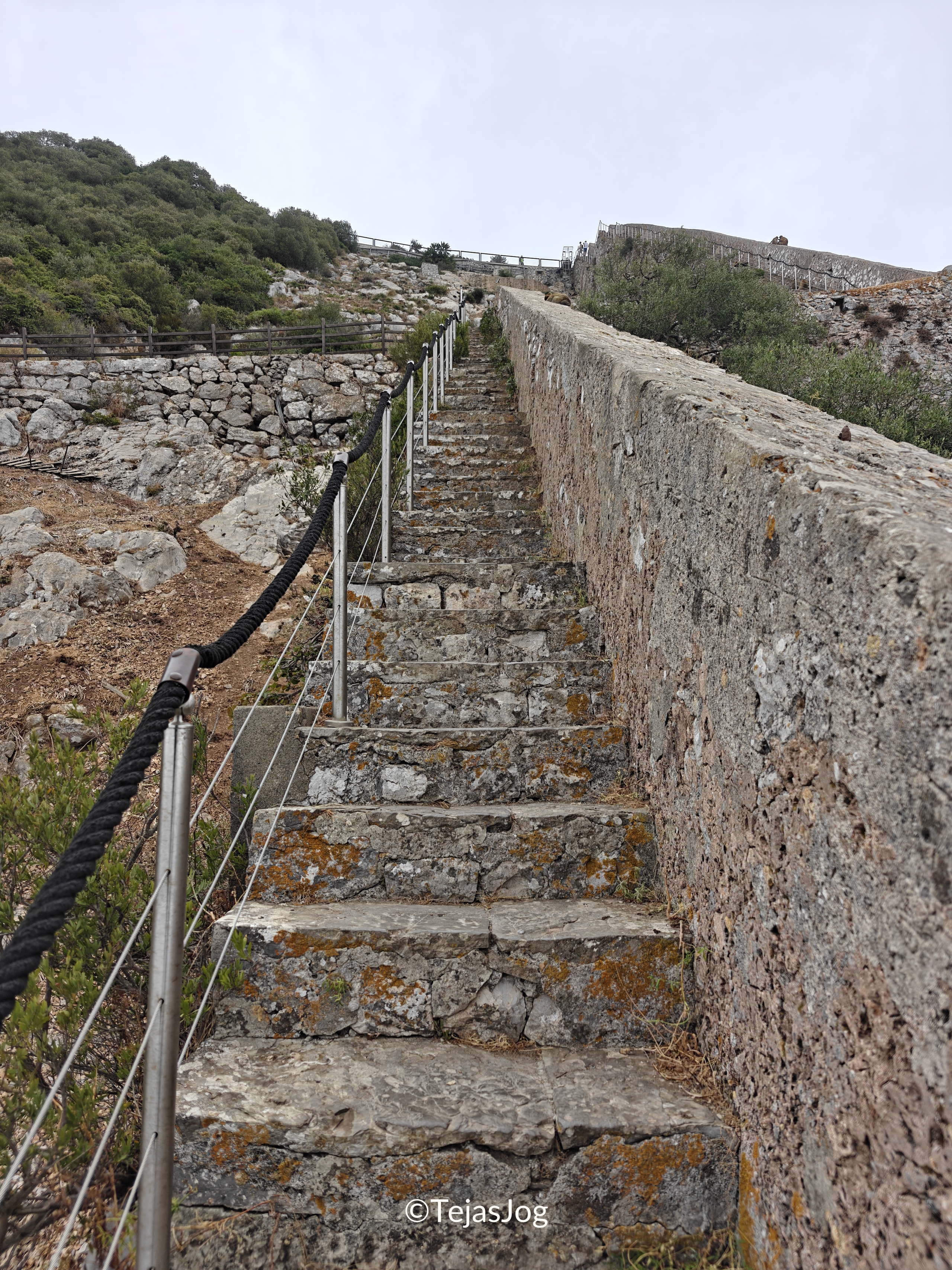 Charles V Wall Charles V Wall