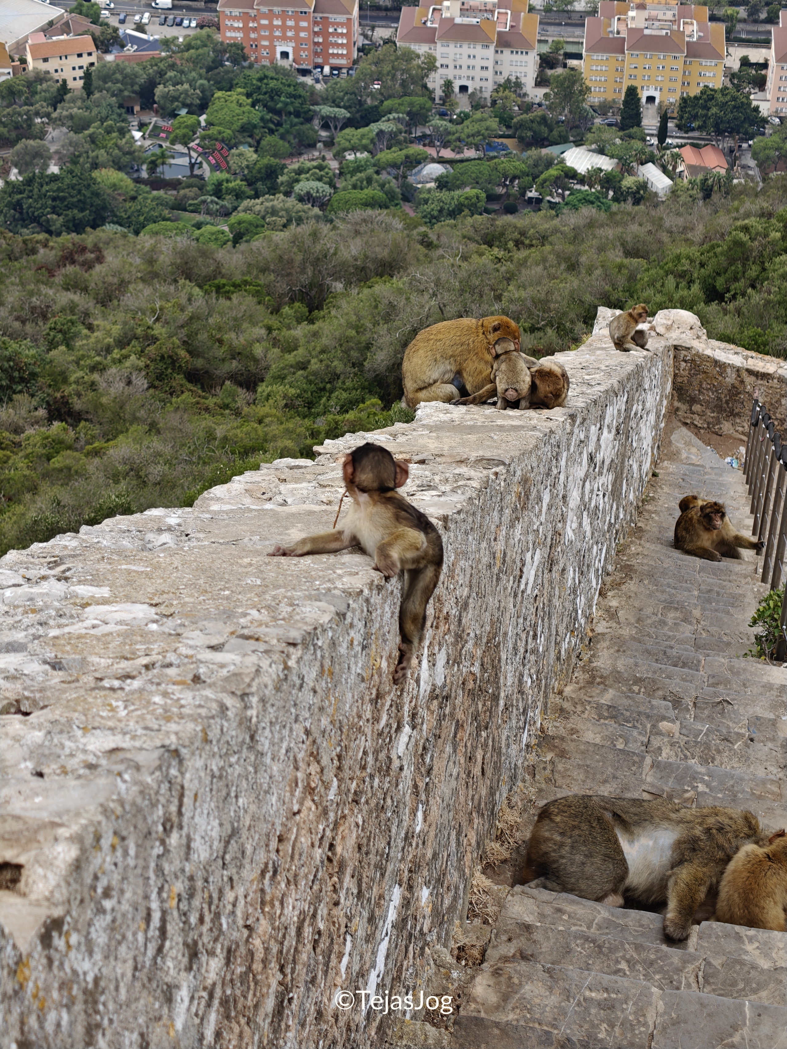 Charles V Wall Charles V Wall