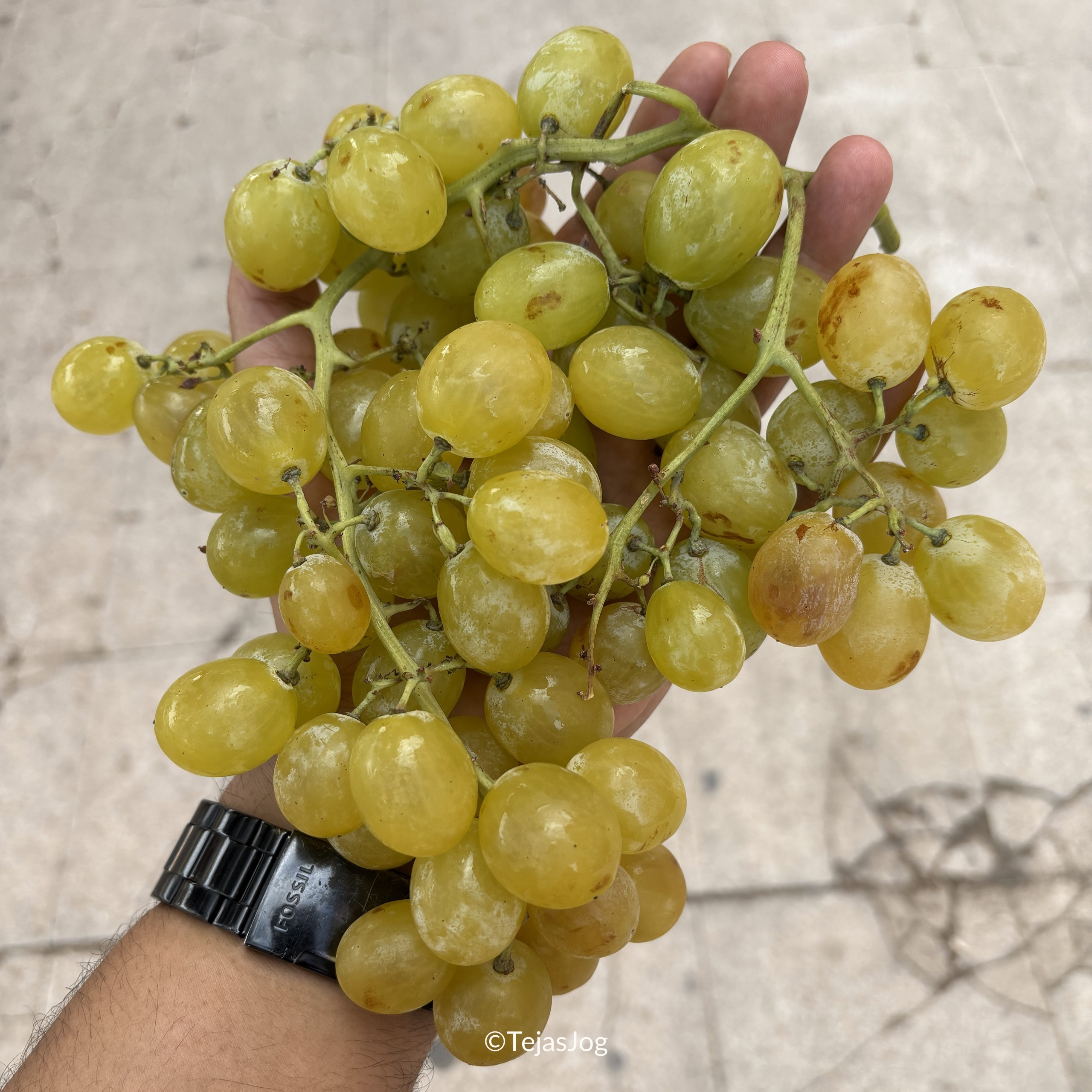 Grapes Grapes