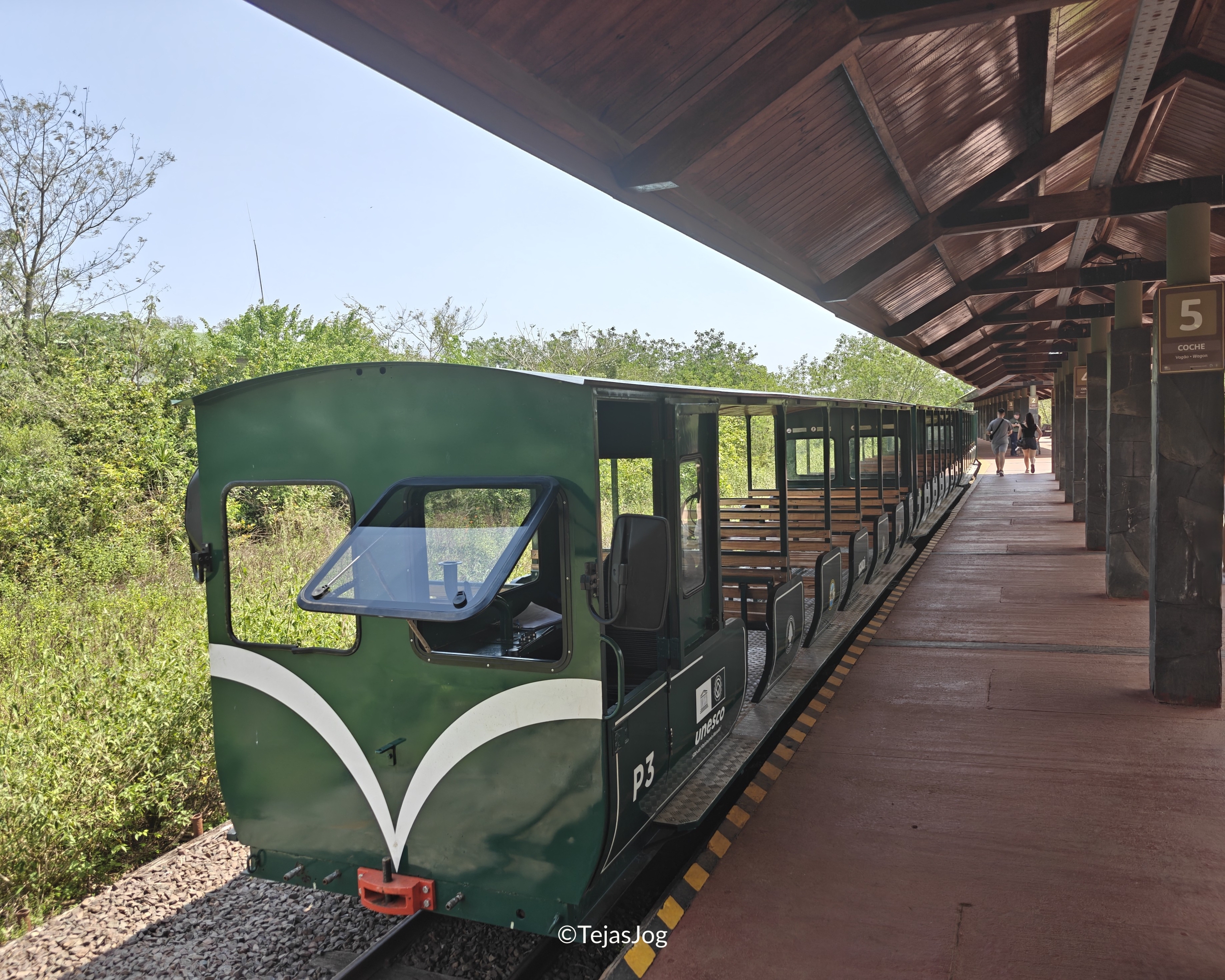 Jungle Train / Tren de la Selva