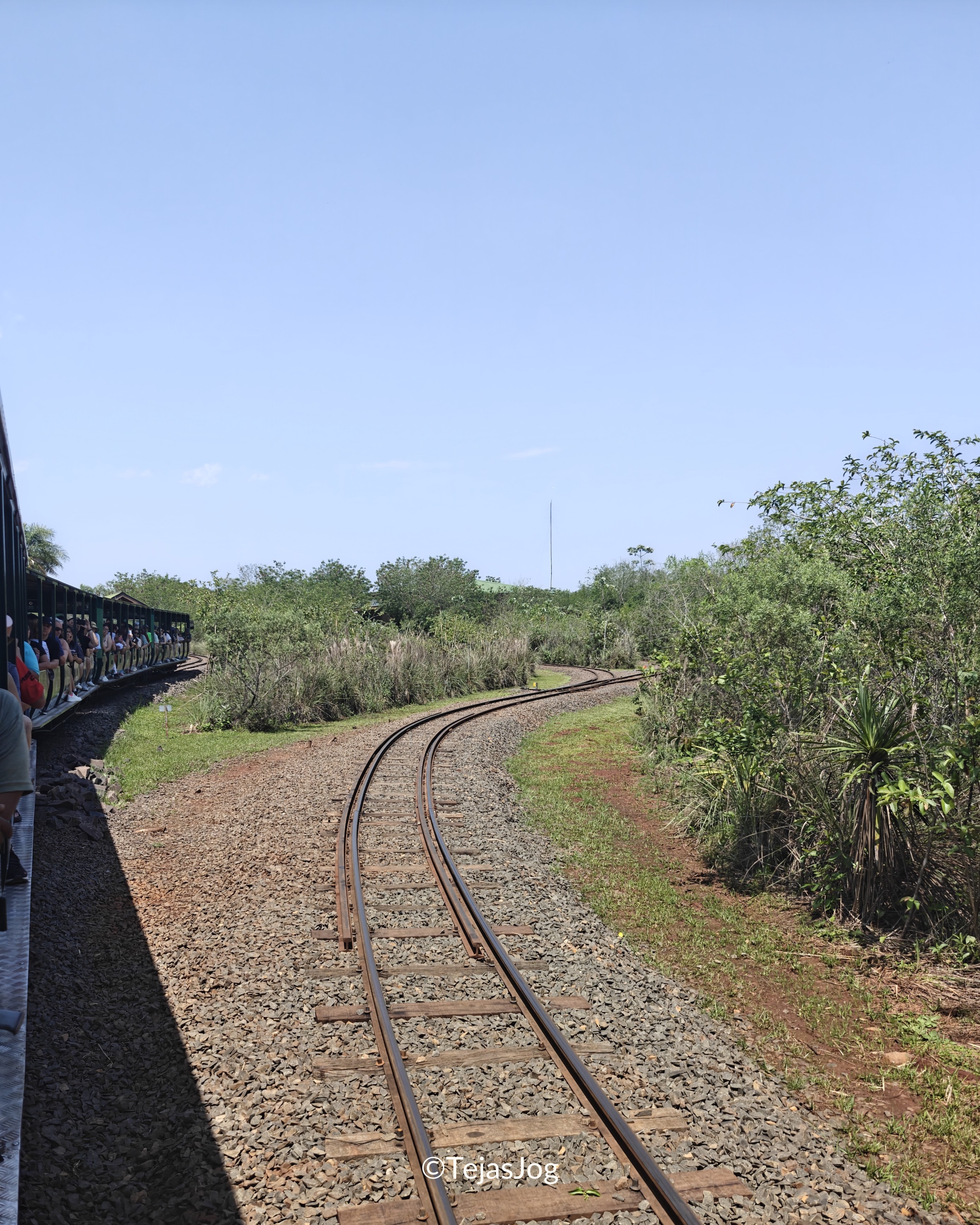 Jungle Train / Tren de la Selva
