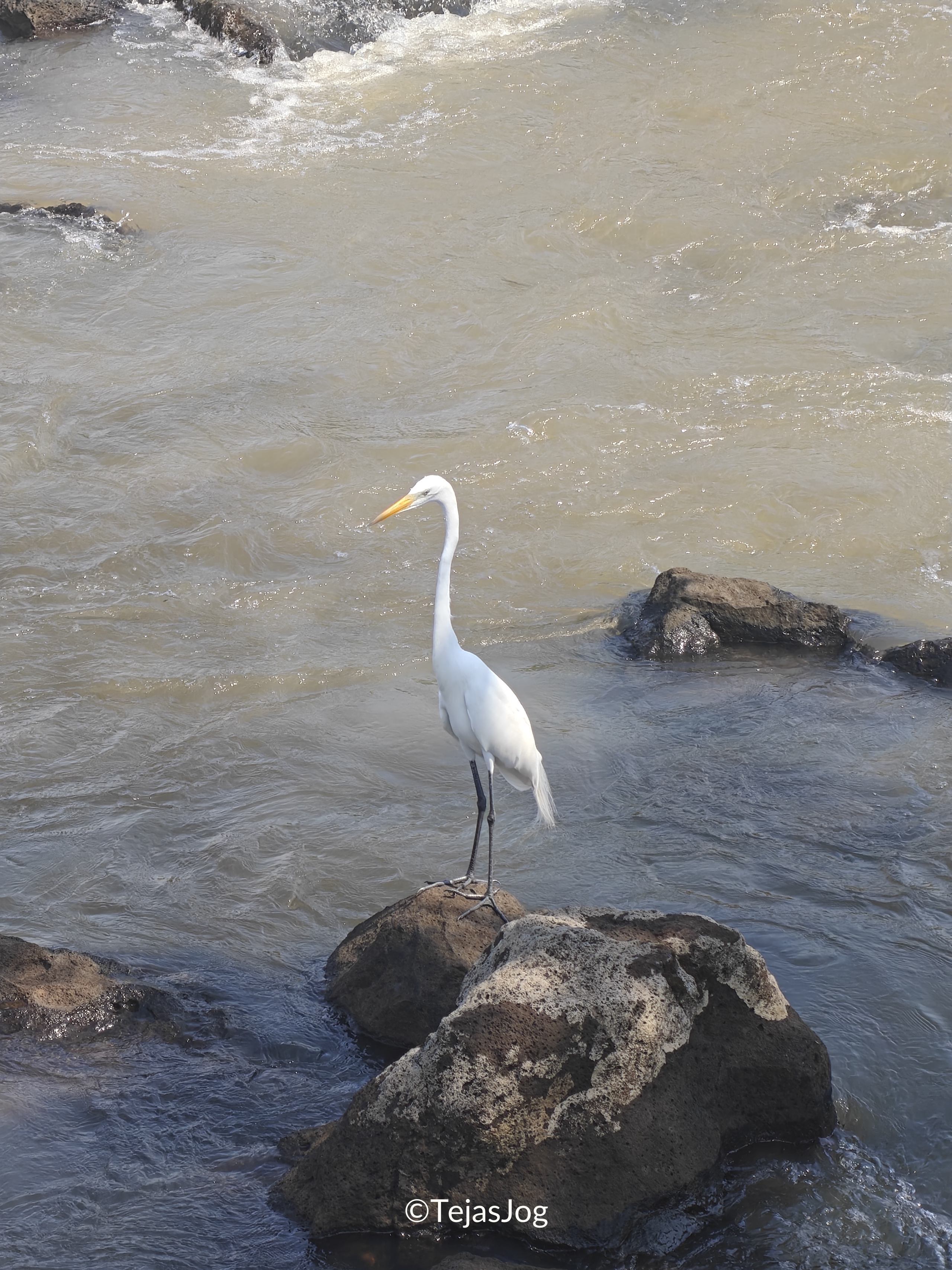 Upper Circuit / Circuito Superior