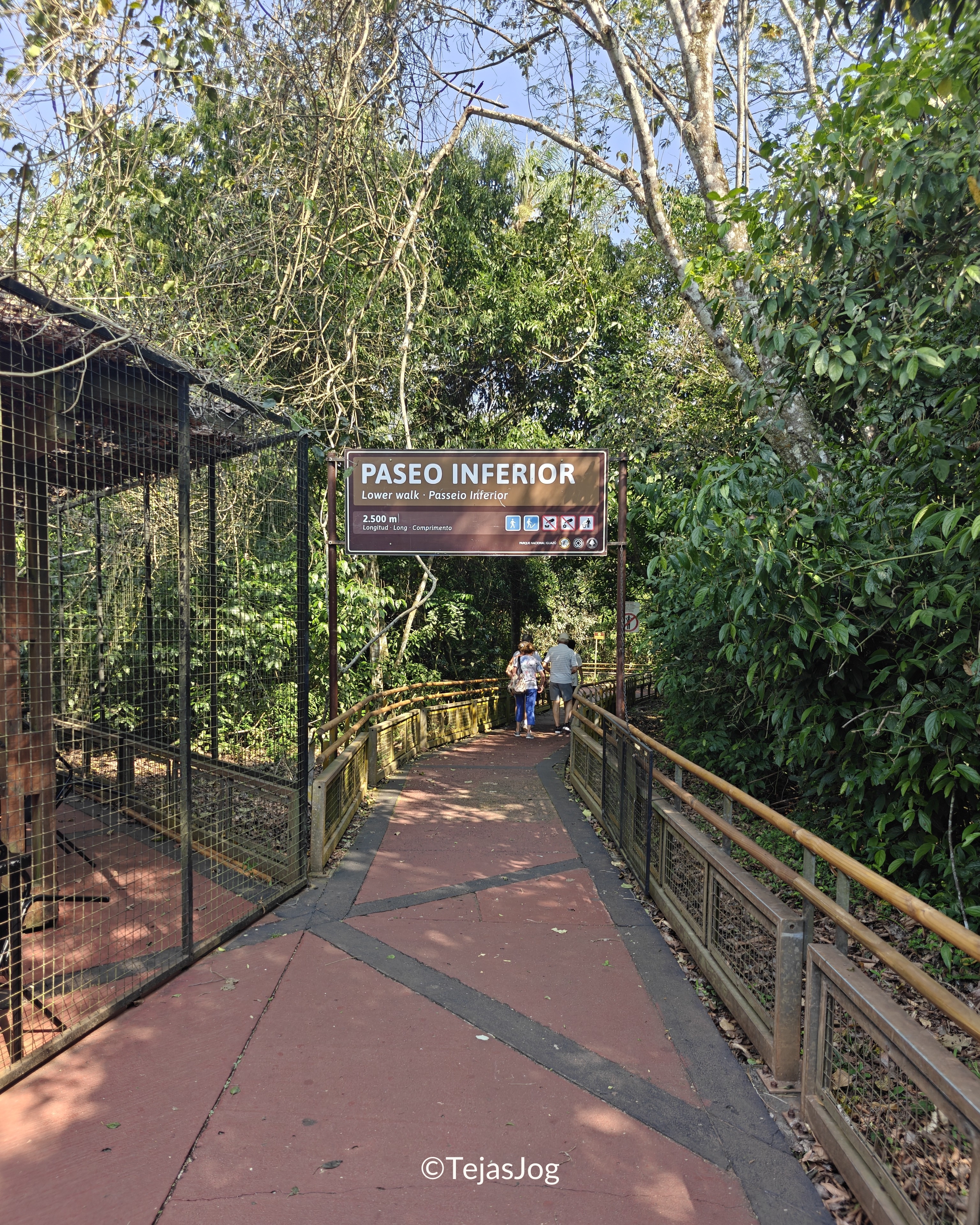 Lower Circuit / Circuito Inferior