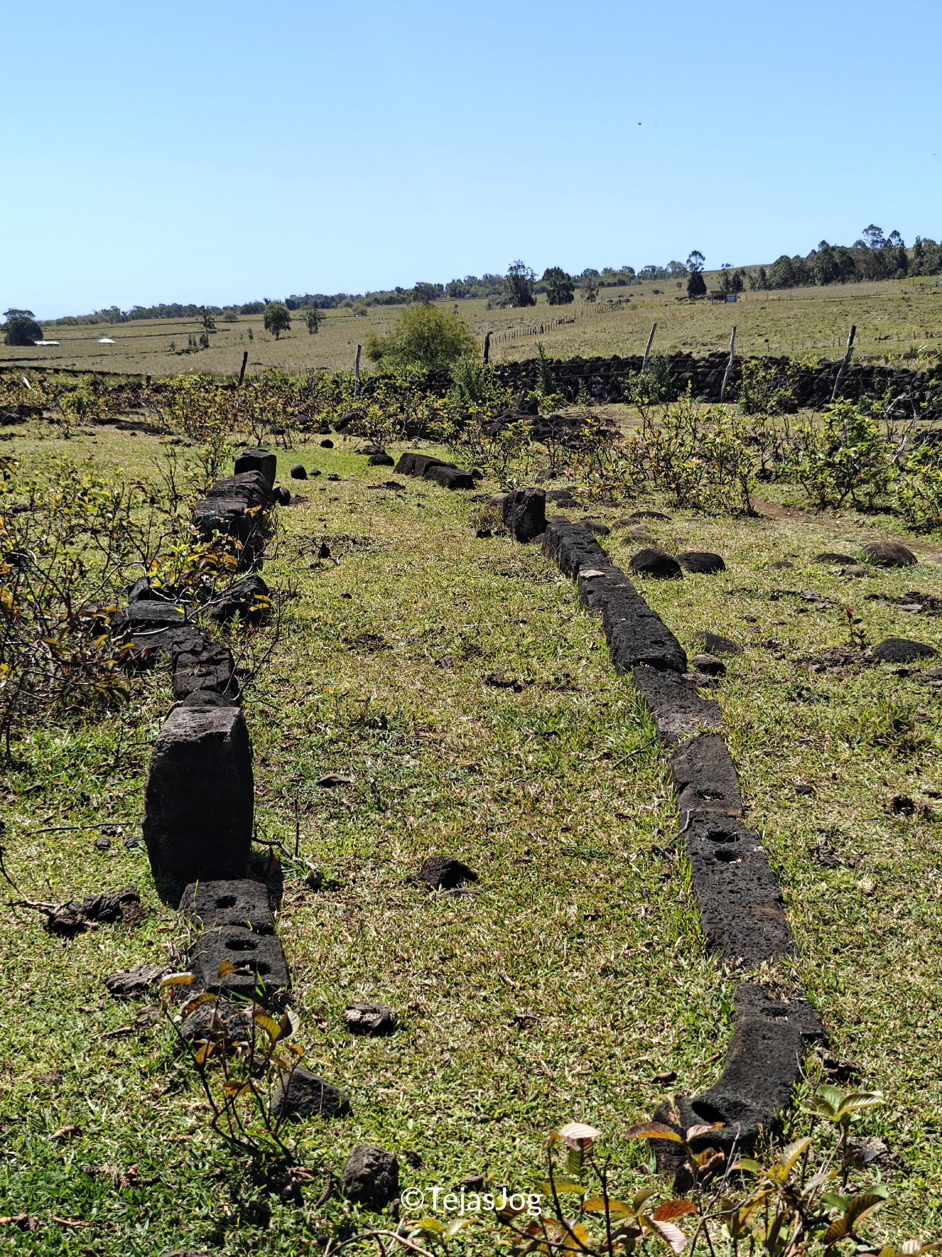 Ana Te Pahu Ana Te Pahu