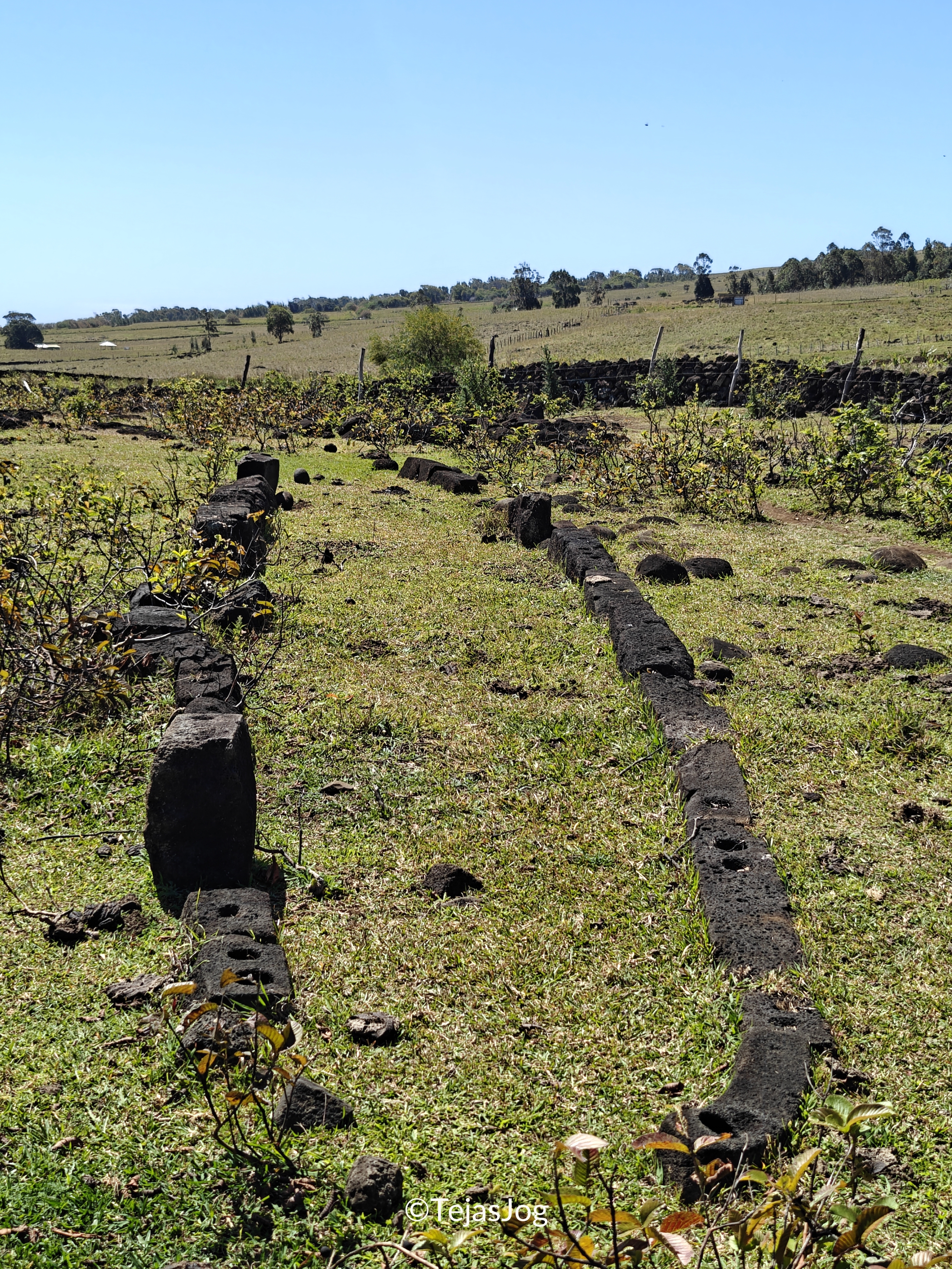 Ana Te Pahu Ana Te Pahu