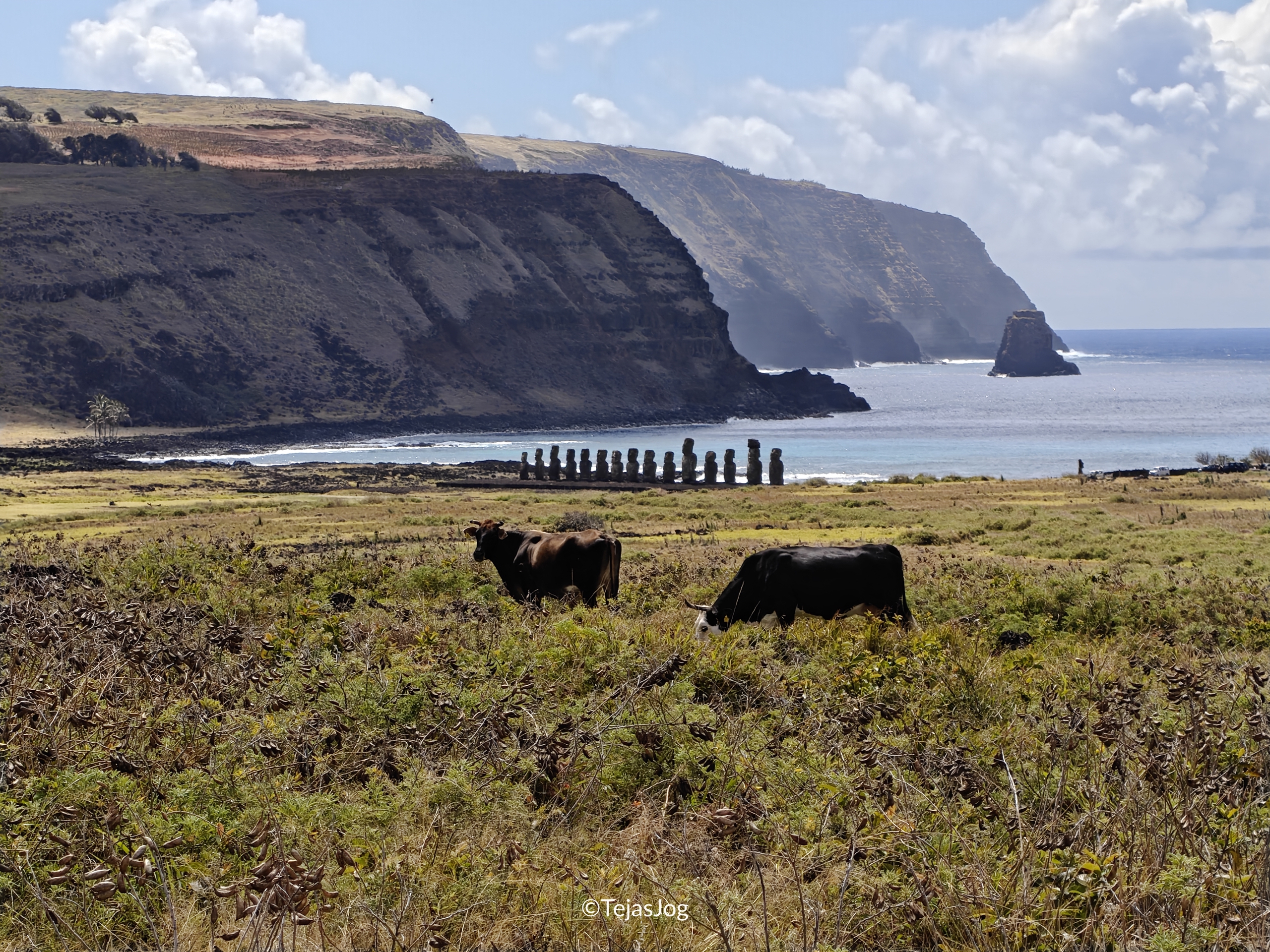 Rano Raraku