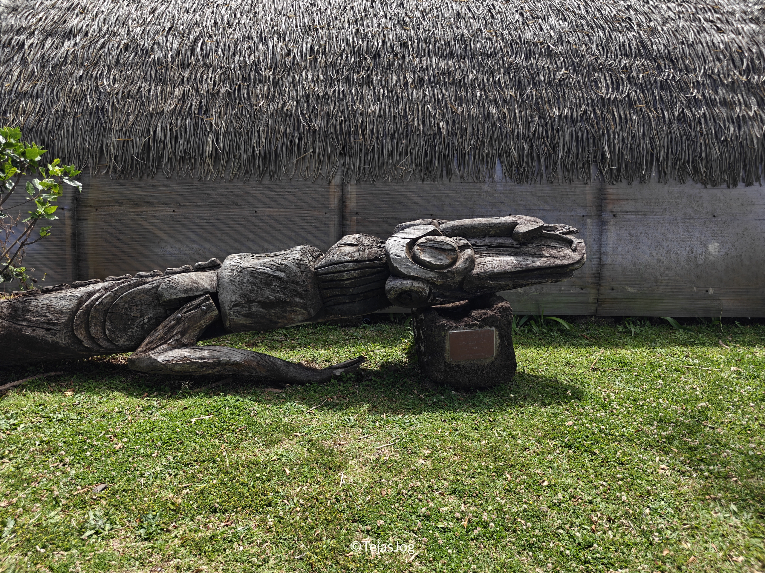Mataveri International Airport / Aeropuerto Internacional Mataveri