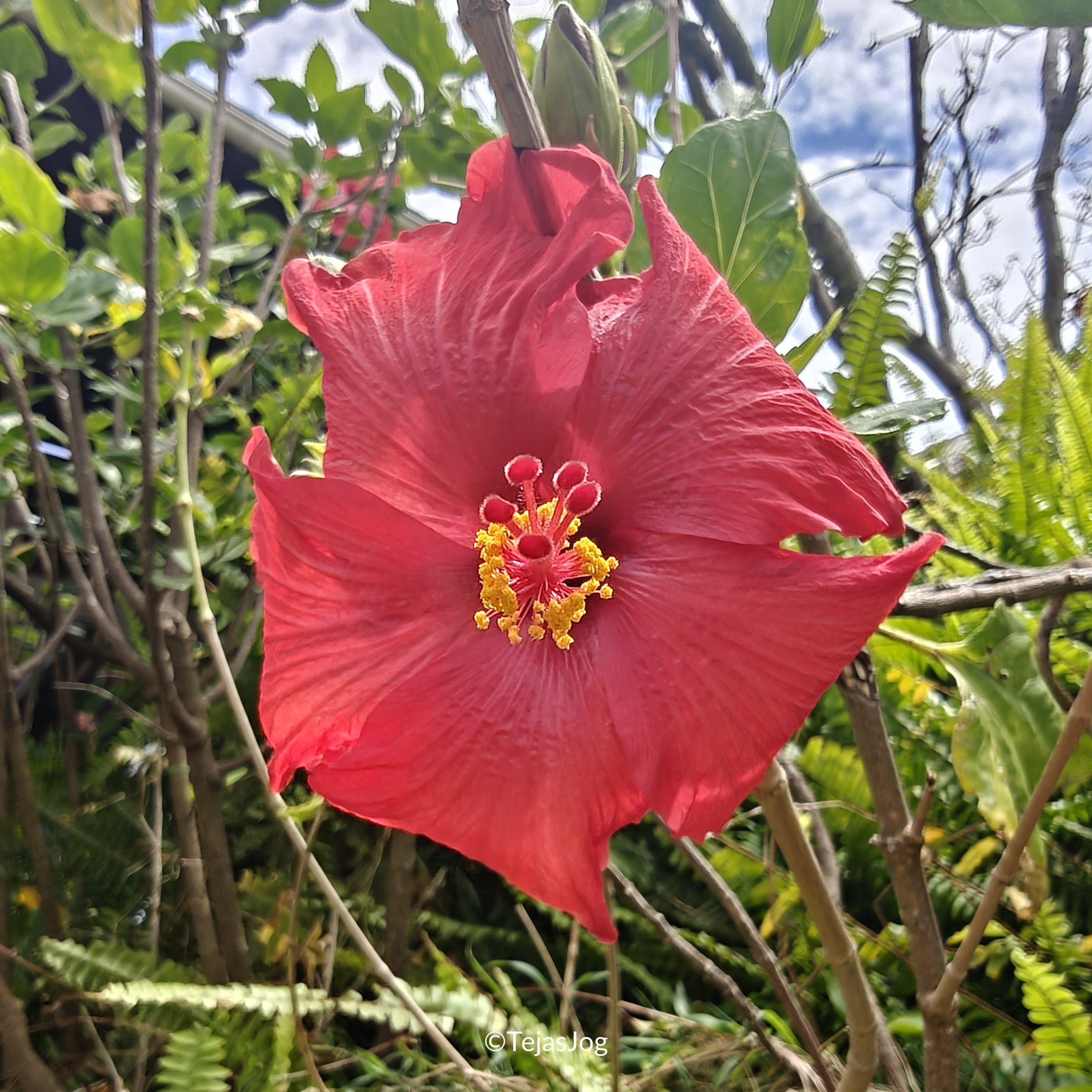 Mataveri International Airport / Aeropuerto Internacional Mataveri