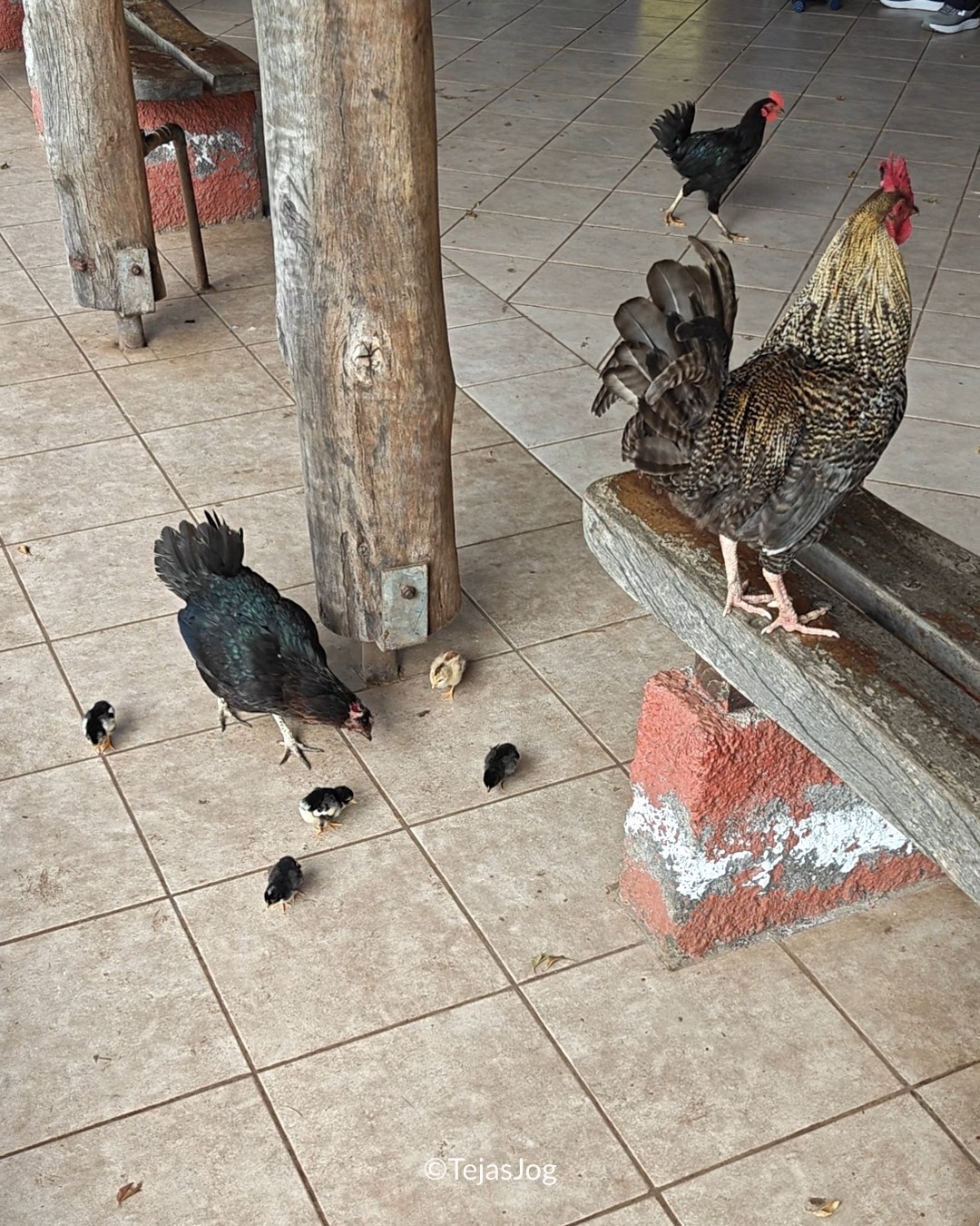 Mataveri International Airport / Aeropuerto Internacional Mataveri