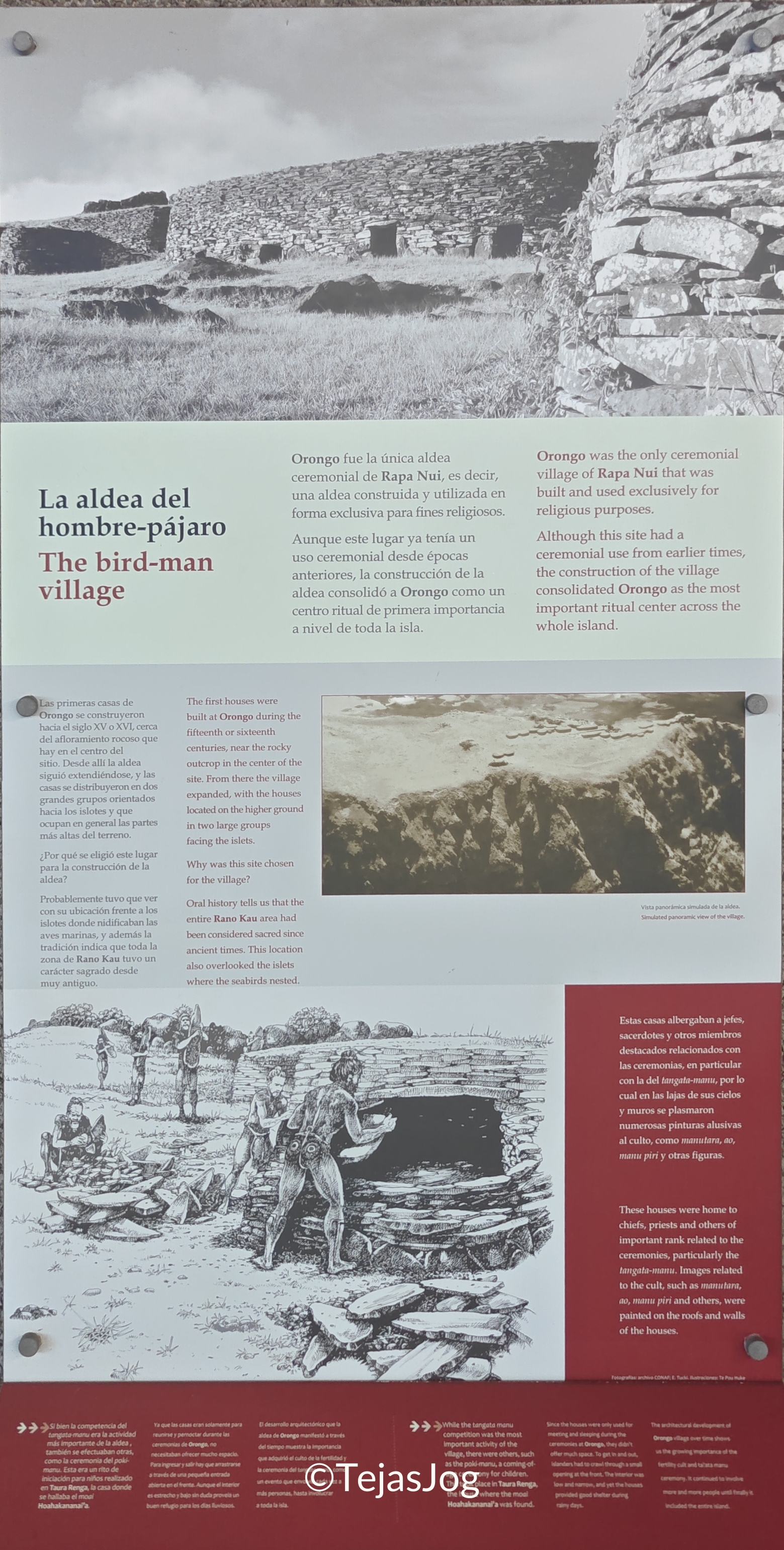 Annual Birdman Competition