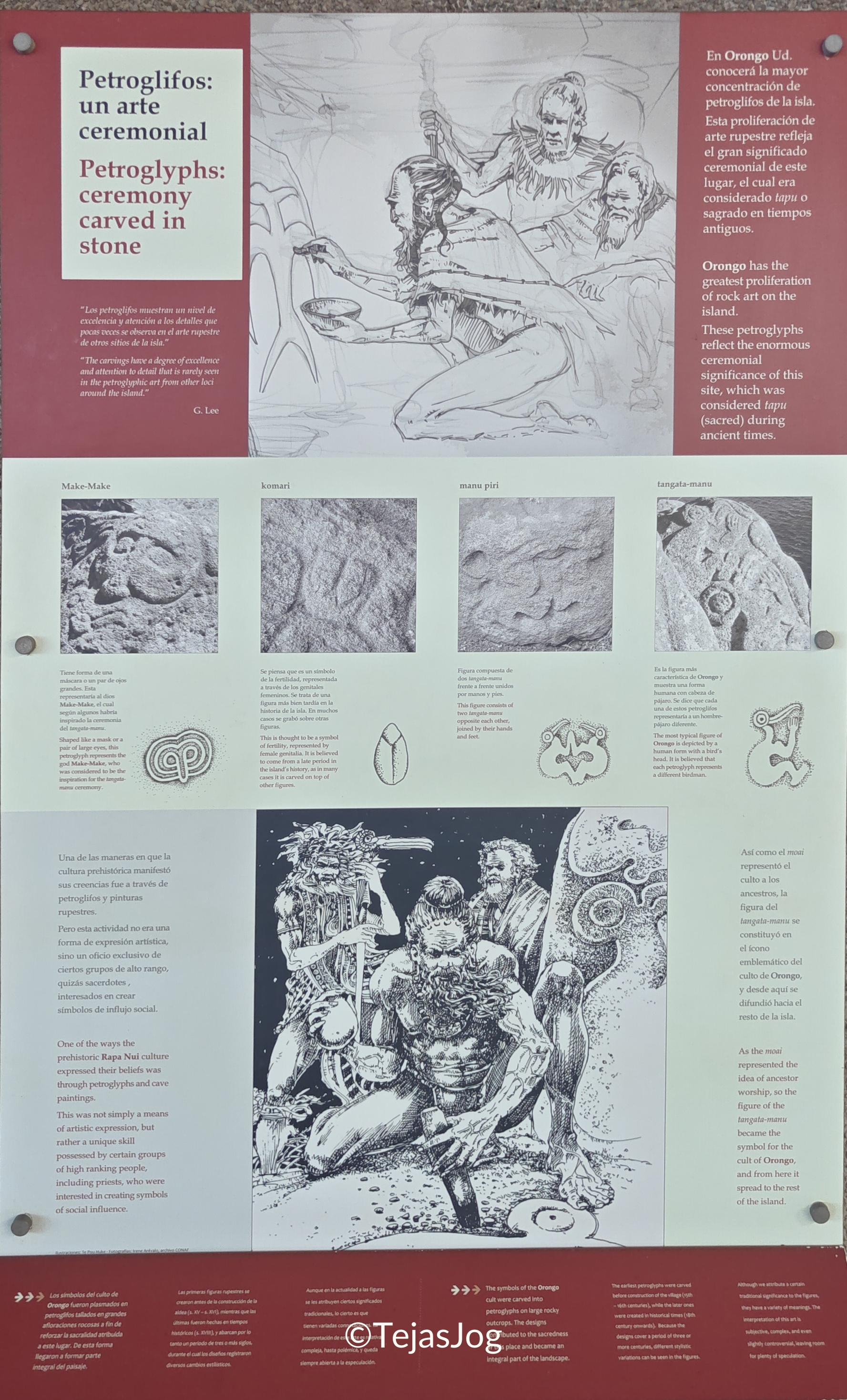 Annual Birdman Competition