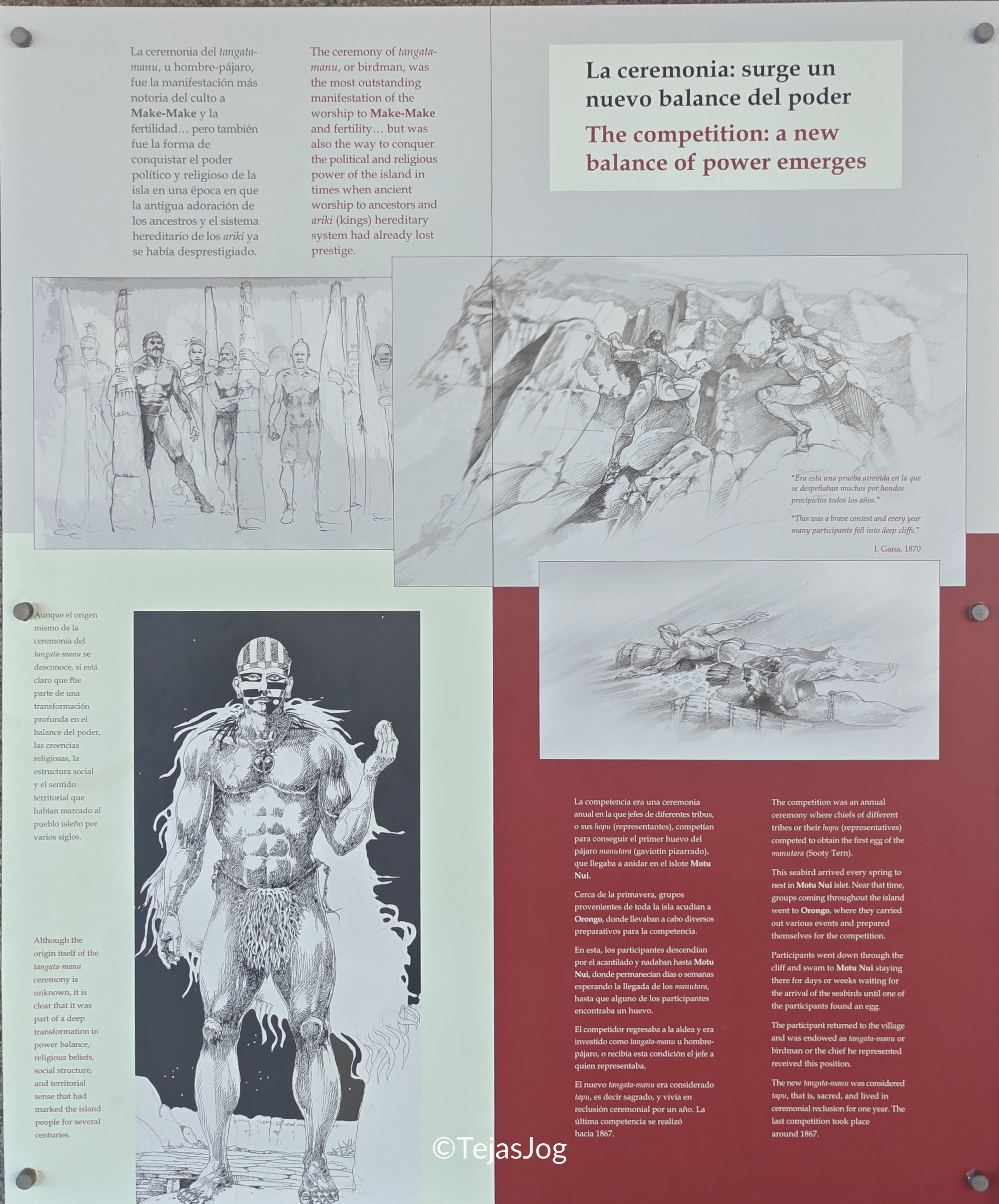 Annual Birdman Competition