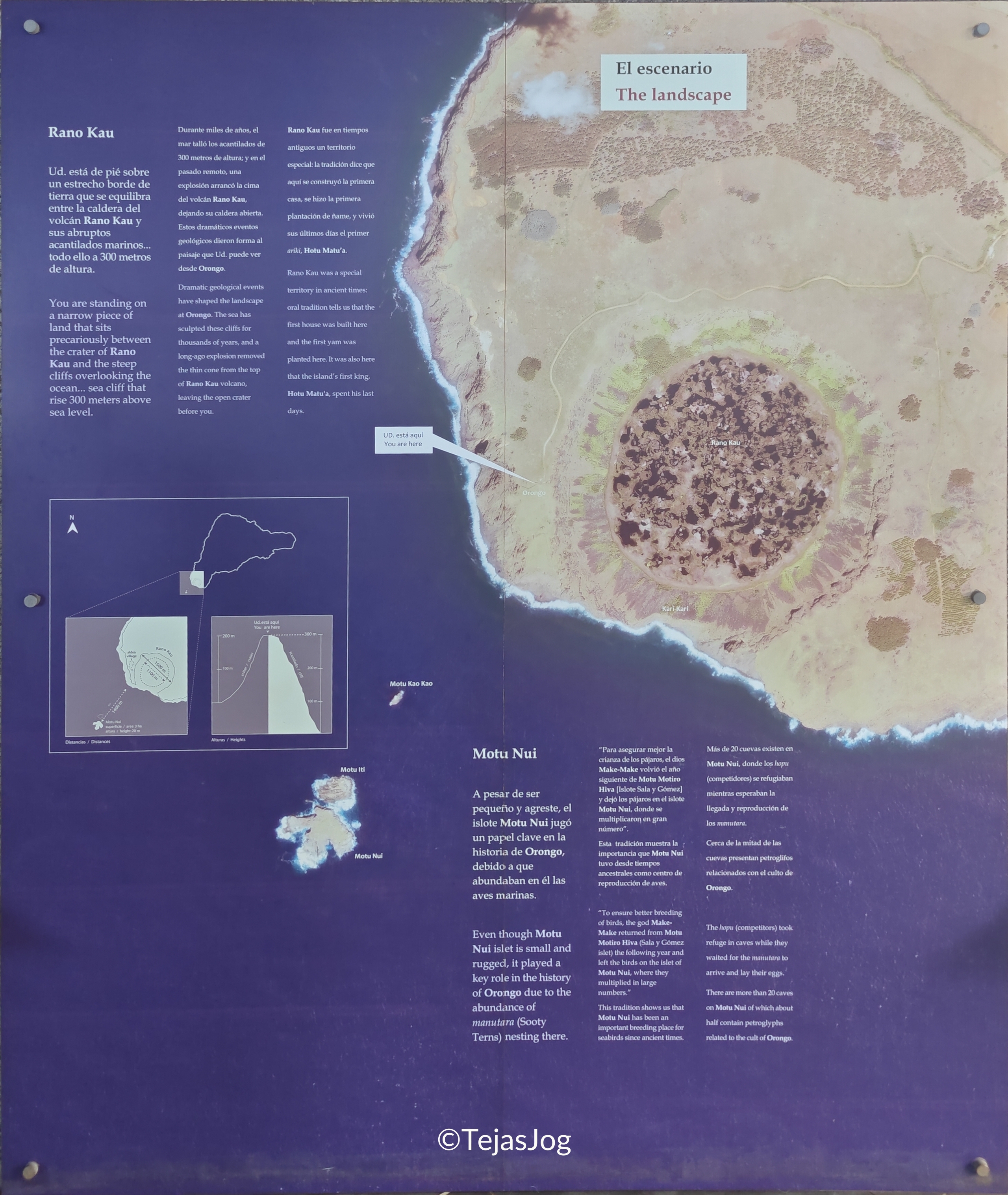 Annual Birdman Competition