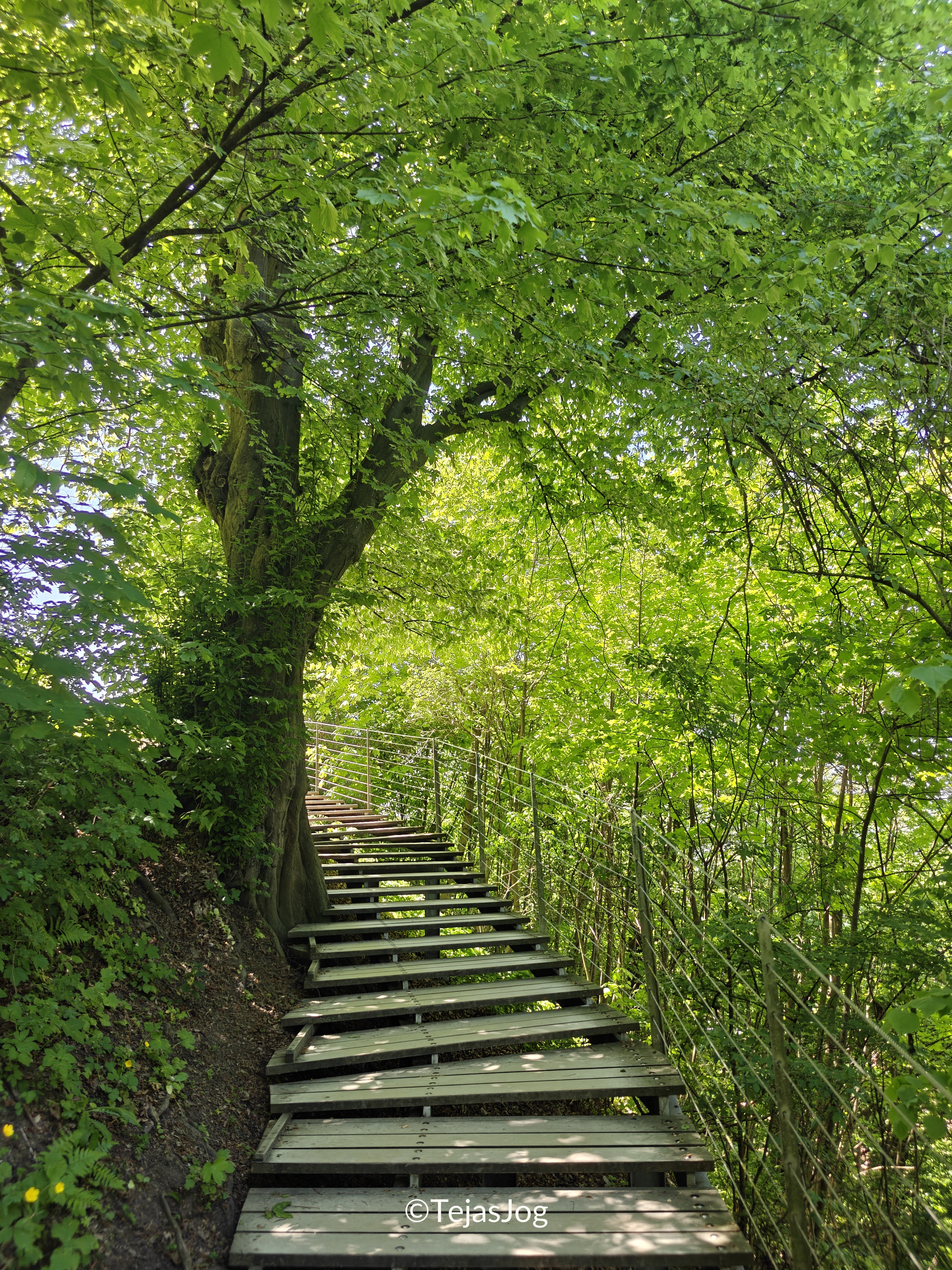 Walking up to Ljubljana Castle